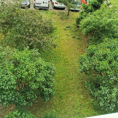 Apartament Wiewiorka Leilighet Gdańsk Eksteriør bilde