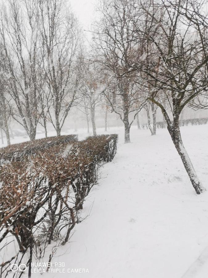 Apartament Wiewiorka Leilighet Gdańsk Eksteriør bilde