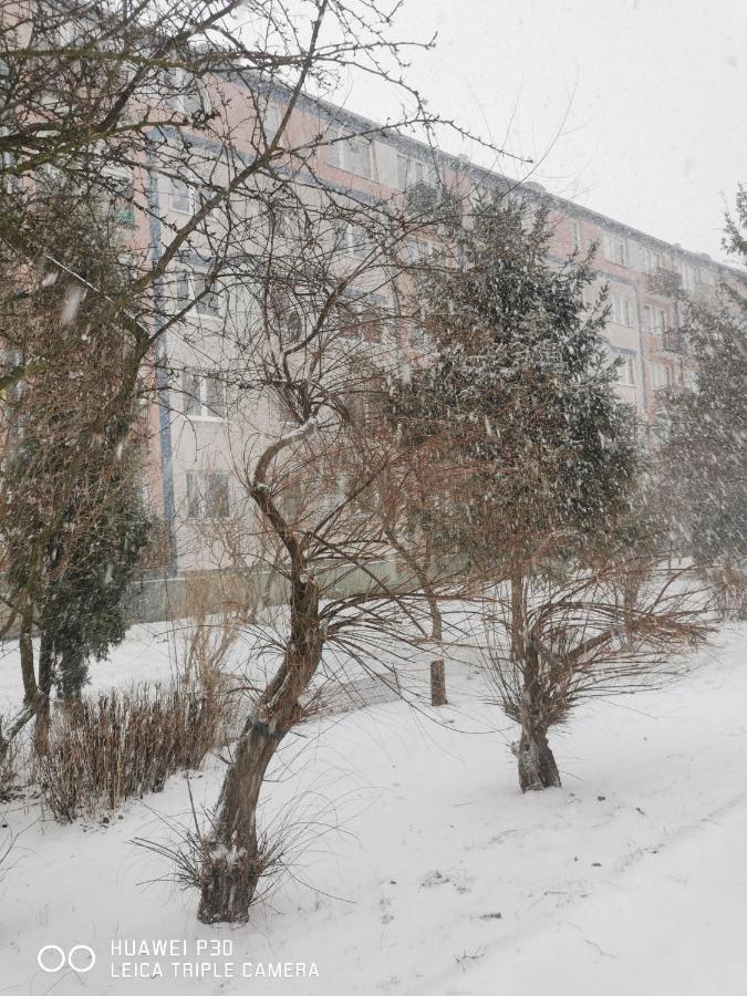 Apartament Wiewiorka Leilighet Gdańsk Eksteriør bilde