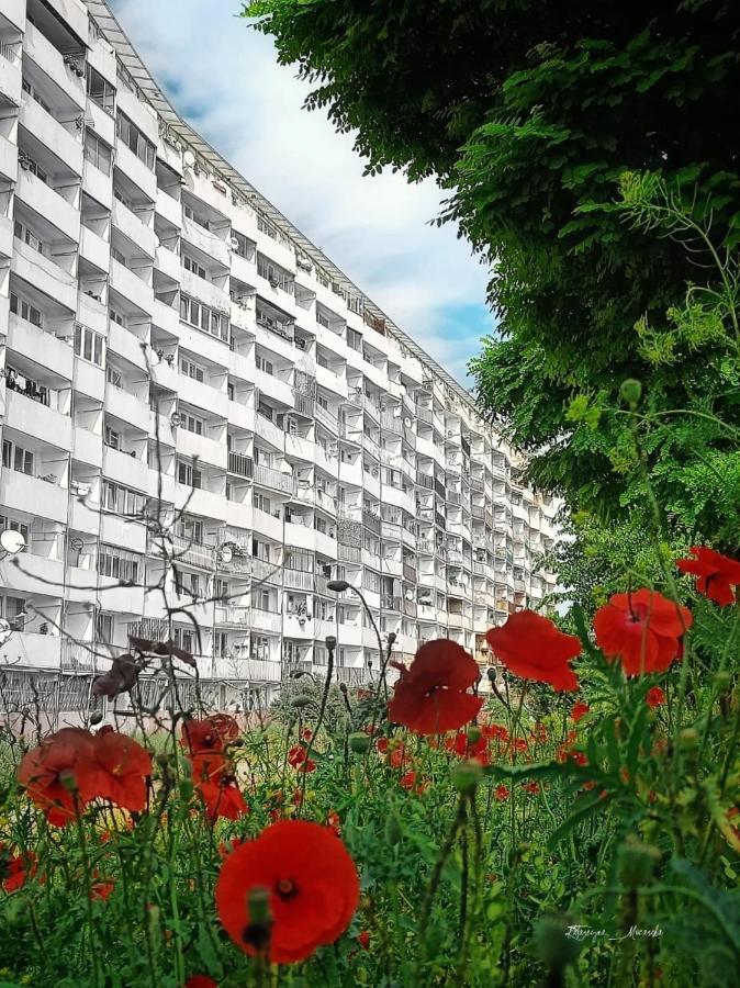 Apartament Wiewiorka Leilighet Gdańsk Eksteriør bilde